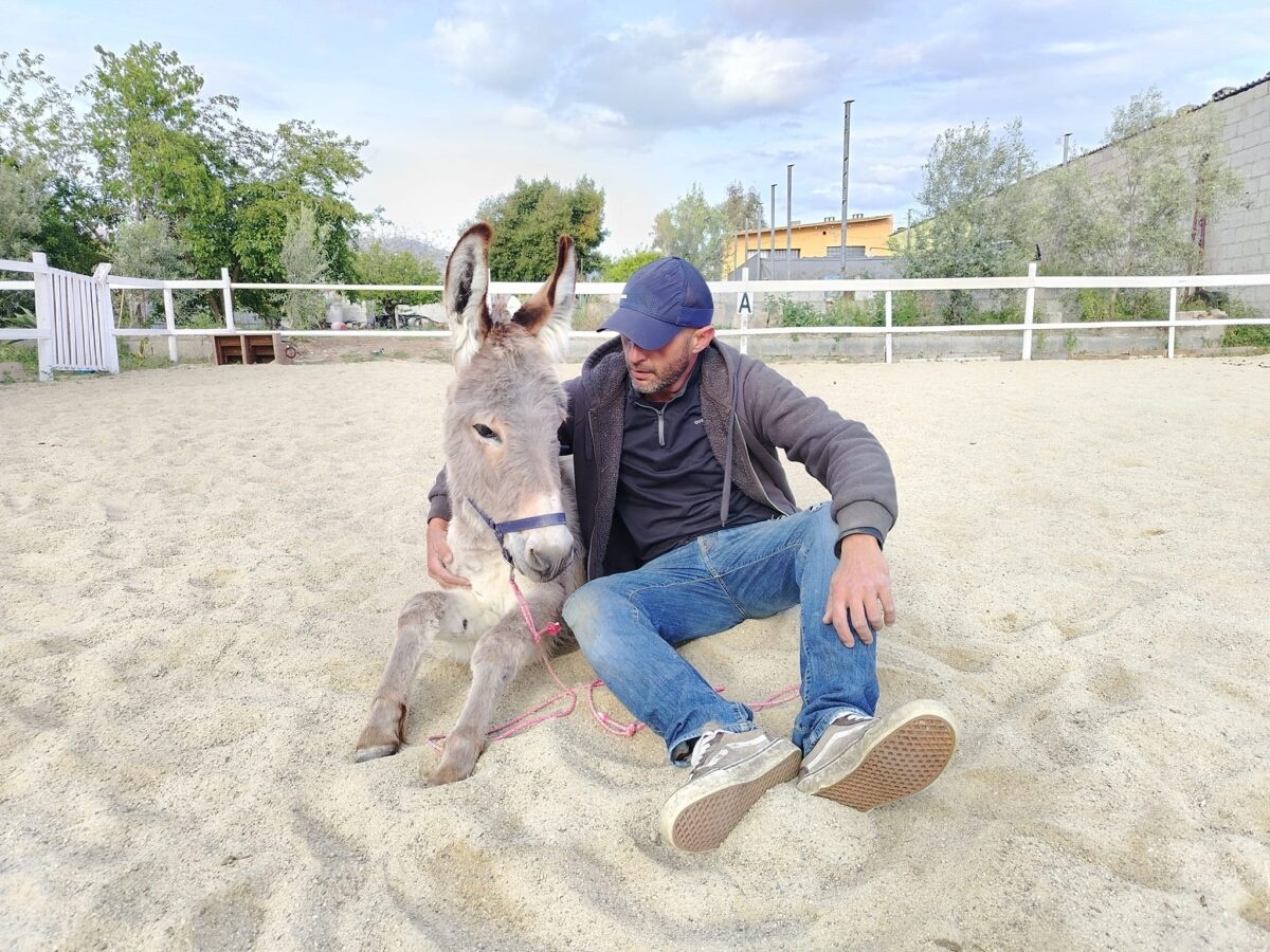 Persona con asino al Pony Club