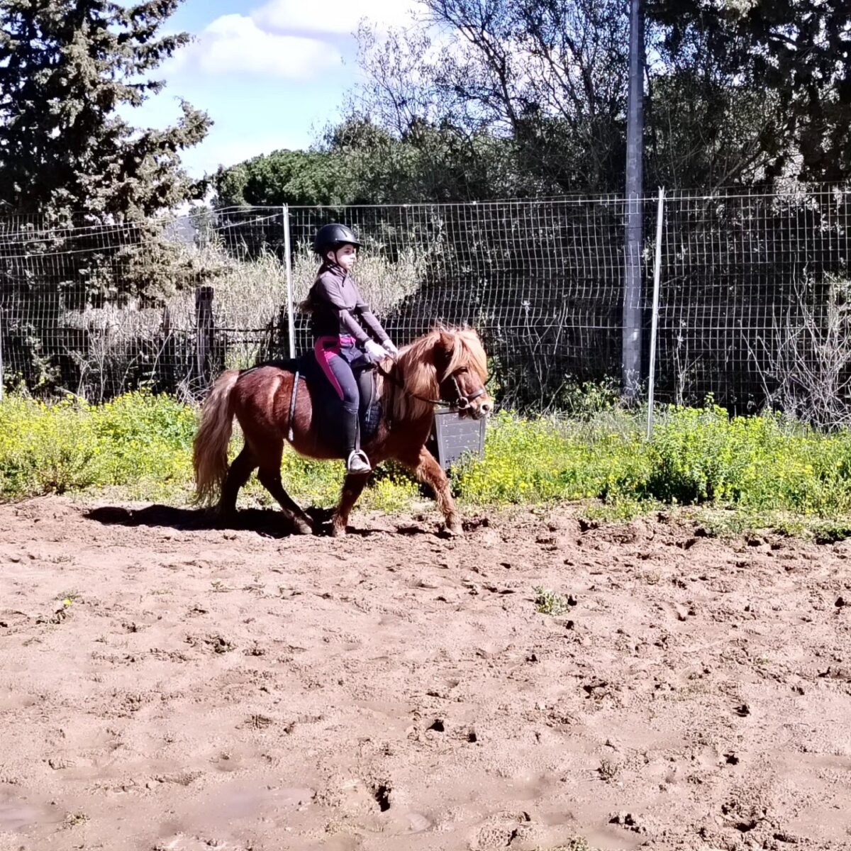 Bambina su pony