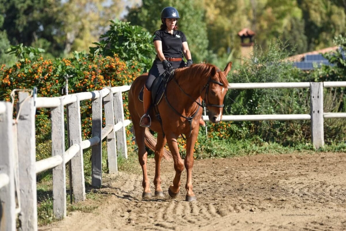 Lezione di equitazione in campo