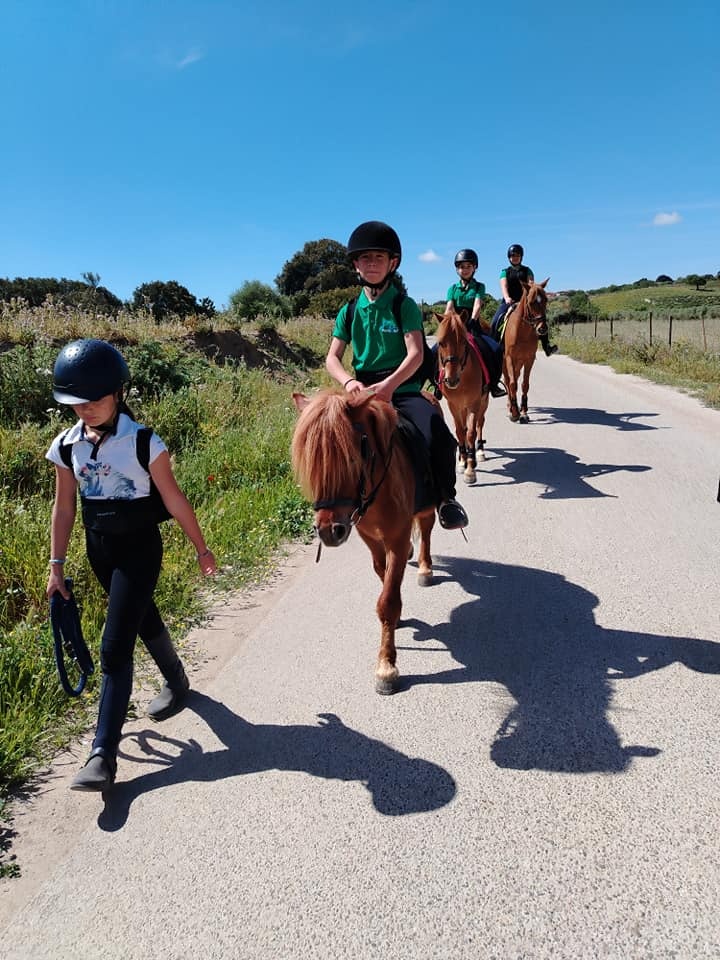 Passeggiata con pony su strada