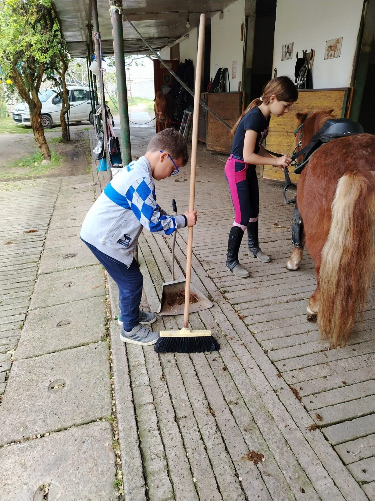 Bambini che si prendono cura del pony in scuderia